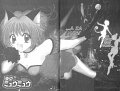 Tokyo Mew Mew 2